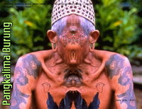 Panglima burung.